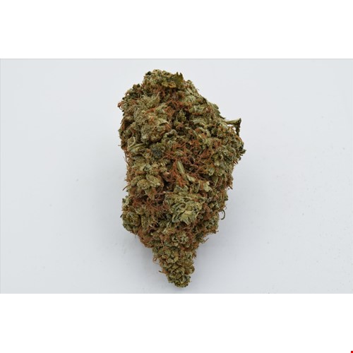 Rhubarb Crumble (Hybrid) - SALE 1 OZ $65